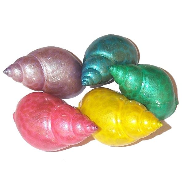 Decorative Hermit Crab Sea Shells -Fancy dyed Hermit Crab Shells By sals Marine